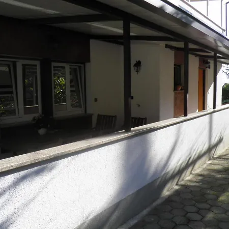 Dario * Mošćenička Draga